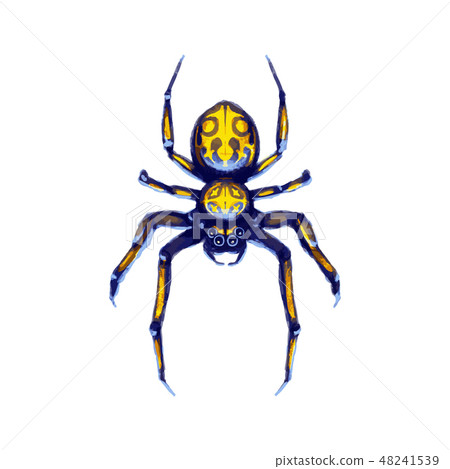 Danger exotic crawling spider, cartoon arachnid on white 48241539