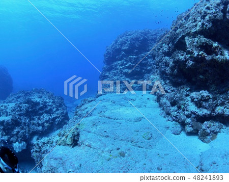 Yonaguni-jima seafloor ruins Yonaguni-jima seafloor ruins 48241893
