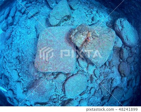Yonaguni-jima seafloor ruins 48241899
