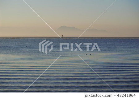 Sazanami Sazanami 48241964