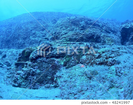 與那國島海底遺址 48241997