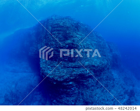 Yonaguni-jima seafloor ruins 48242014