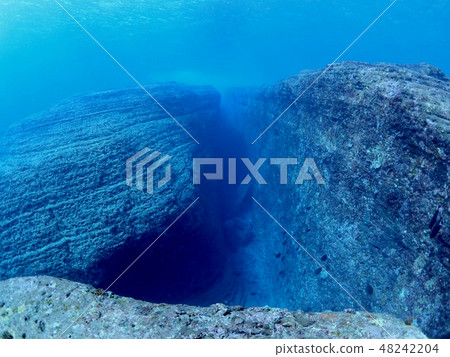 與那國島海底遺址 48242204