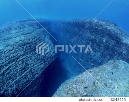 Yonaguni-jima seafloor ruins 48242213