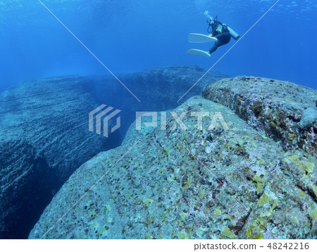 與那國島海底遺址 48242216