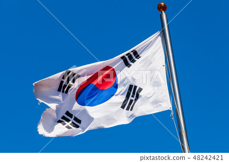 South Korea flag, Taegukgi 48242421