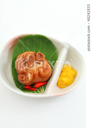 傳統的沖繩美食豬腿 傳統的沖繩美食豬腿 48242833