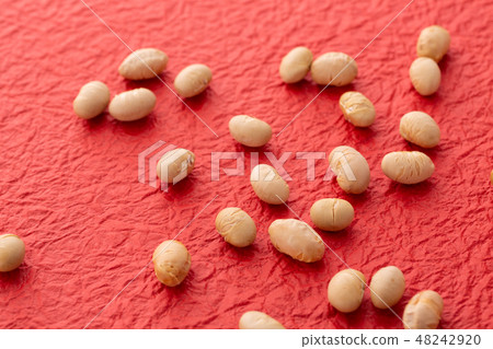 大豆烤豆 48242920