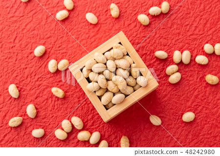 Soybean roasted beans Soybean roasted beans 48242980