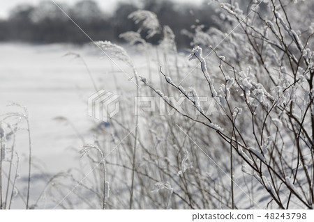 春天雪風景 48243798