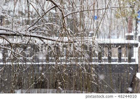 雪落的早晨 48244010