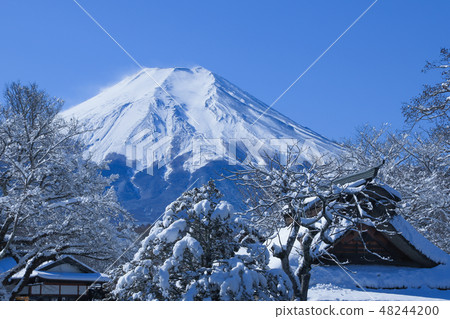 Oshino Hakkei Hakkai Garden Hobie warrior's mansion 48244200