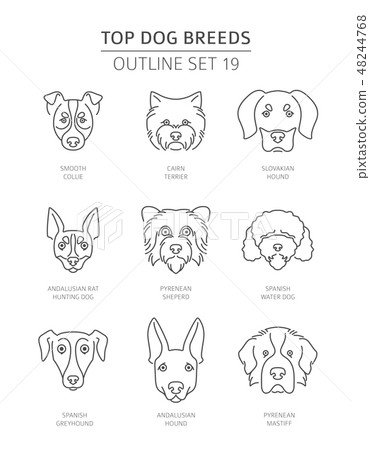 Top dog breeds. Pet outline collection. Vector Top dog breeds. Pet outline collection. Vector 48244768