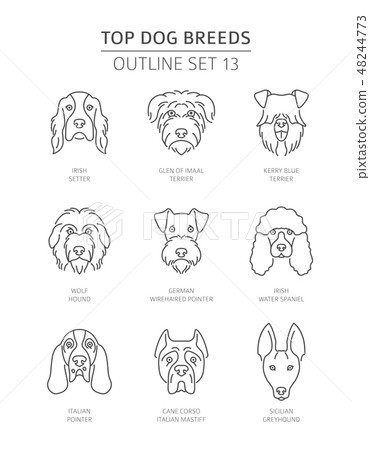 Top dog breeds. Pet outline collection. Vector 48244773