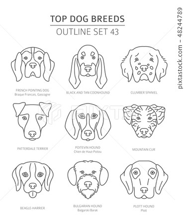 Top dog breeds. Pet outline collection. Vector Top dog breeds. Pet outline collection. Vector 48244789