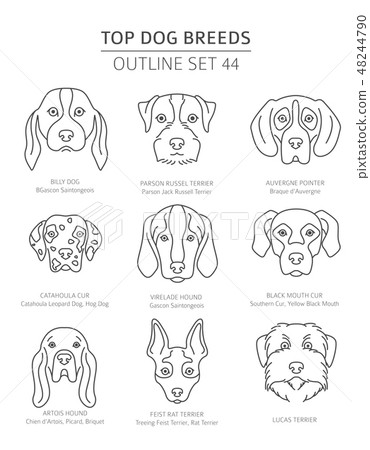 Top dog breeds. Pet outline collection. Vector Top dog breeds. Pet outline collection. Vector 48244790