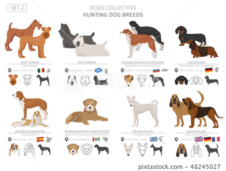 Russian hunting hot sale dog breeds