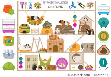 Pet rodents home accessories icon set flat style Pet rodents home accessories icon set flat style 48245464