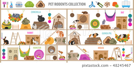 Pet rodents home accessories icon set flat style Pet rodents home accessories icon set flat style 48245467