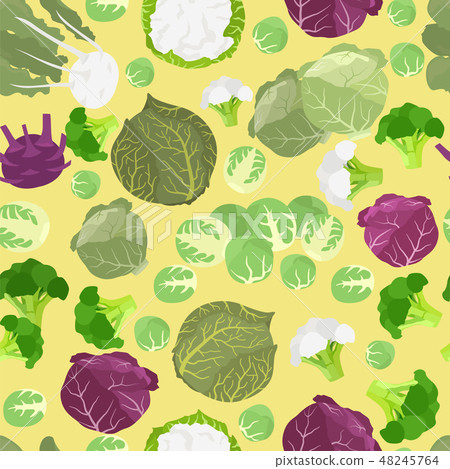 Kohlrabi, cabbage turnip  graphic template. 48245764