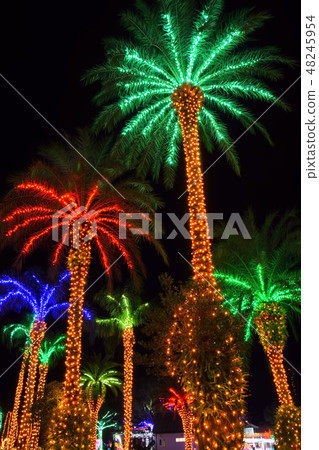 Florente Miyazaki 48245954