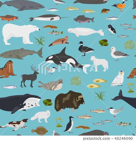 Ice sheet and polar desert biome 48246090