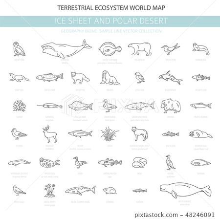 Ice sheet and polar desert biome 48246091