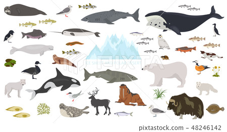 Ice sheet and polar desert biome. ecosystem Ice sheet and polar desert biome. ecosystem 48246142