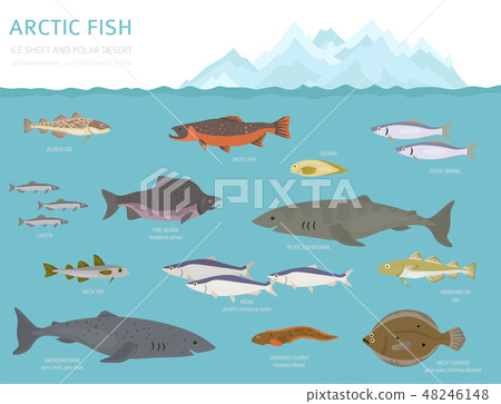 Ice sheet and polar desert biome. ecosystem Ice sheet and polar desert biome. ecosystem 48246148