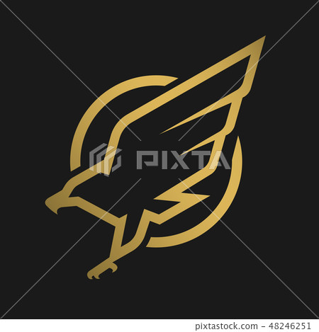 Eagle logo, emblem on a dark background. Eagle logo, emblem on a dark background. 48246251