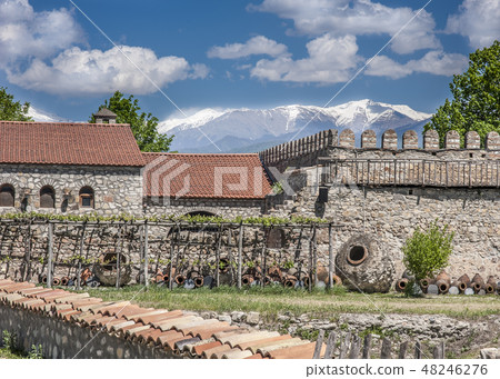 Georgia, Kakheti. Alaverdi-monastery and cathedral Georgia, Kakheti. Alaverdi-monastery and cathedral 48246276