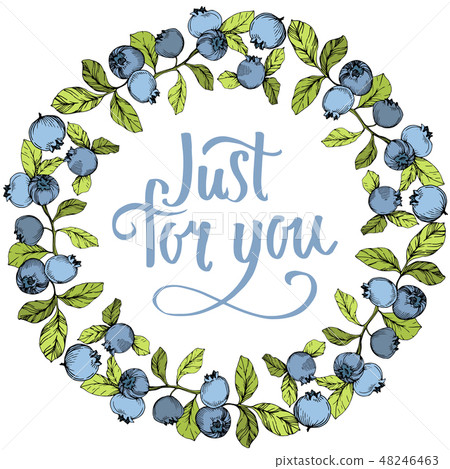 Vector Blueberry blue and green engraved ink art. Berries and green leaves. Frame border ornament 48246463