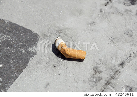 View of the cigarettes and tobacco. Tobacco contains the alkaloid nicotine, which is a stimulant View of the cigarettes and tobacco. Tobacco contains the alkaloid nicotine, which is a stimulant 48246611