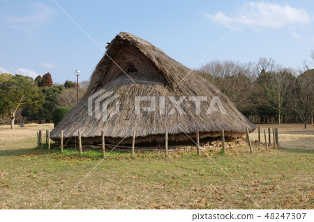 Pit dwelling 48247307