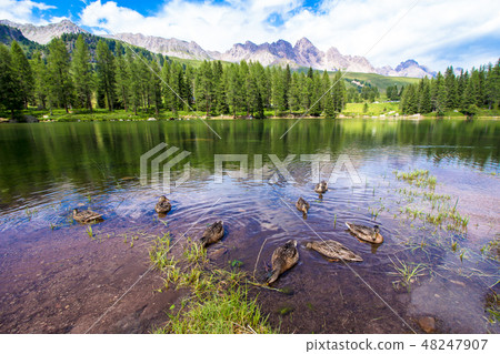 San Pellegrino lake in the Italian Dolomites 48247907
