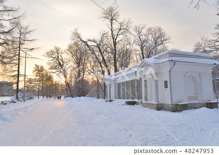 Music pavilion on Elagin Island in St. Petersburg. 48247953