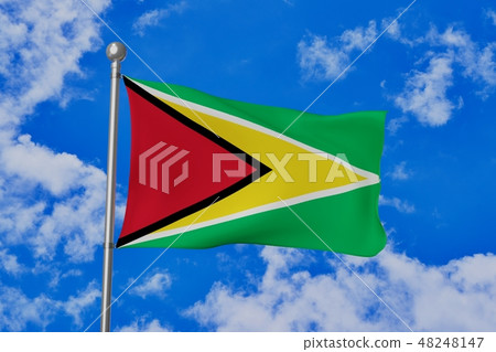 圭亞那國旗的旗幟 圭亞那國旗的旗幟 48248147