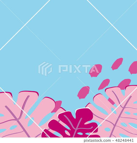熱帶葉子背景框架 48248441