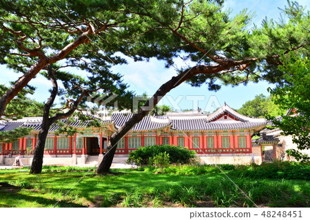 Beautiful scenery of Changdeokgung Palace in Seoul Beautiful scenery of Changdeokgung Palace in Seoul 48248451