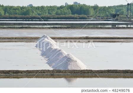 Salt Farm in Thailand in Thailand Salt Farm in Thailand in Thailand 48249076