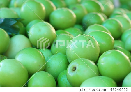 Green jujube on street food 48249902