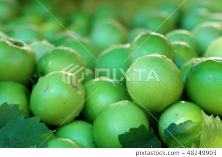 Green jujube on street food 48249903