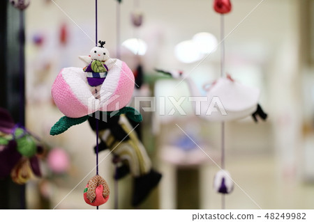 Bamboo blossom 2019 48249982