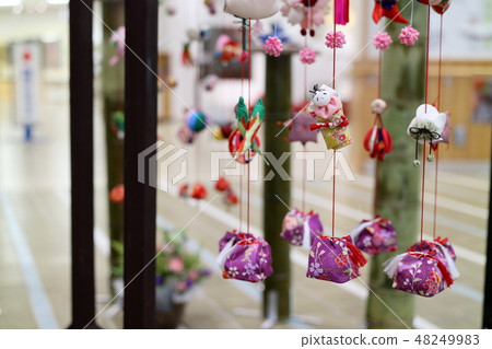 Bamboo blossom 2019 48249983