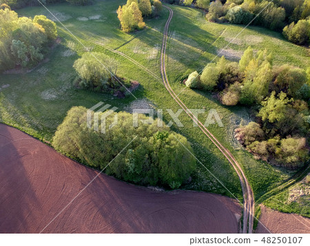 morning  landscape with fields and groves,aerial 48250107