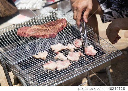 barbecue    48250128