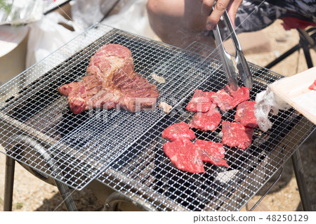 barbecue    48250129