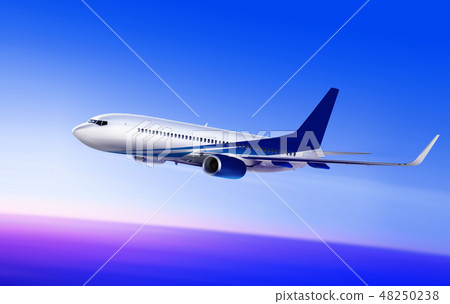 passenger aircraft in beautiful sky 48250238