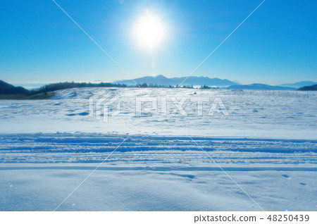 雪早晨太陽 48250439