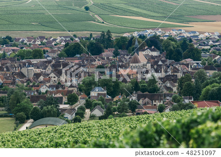 view of the town of Chablis view of the town of Chablis 48251097